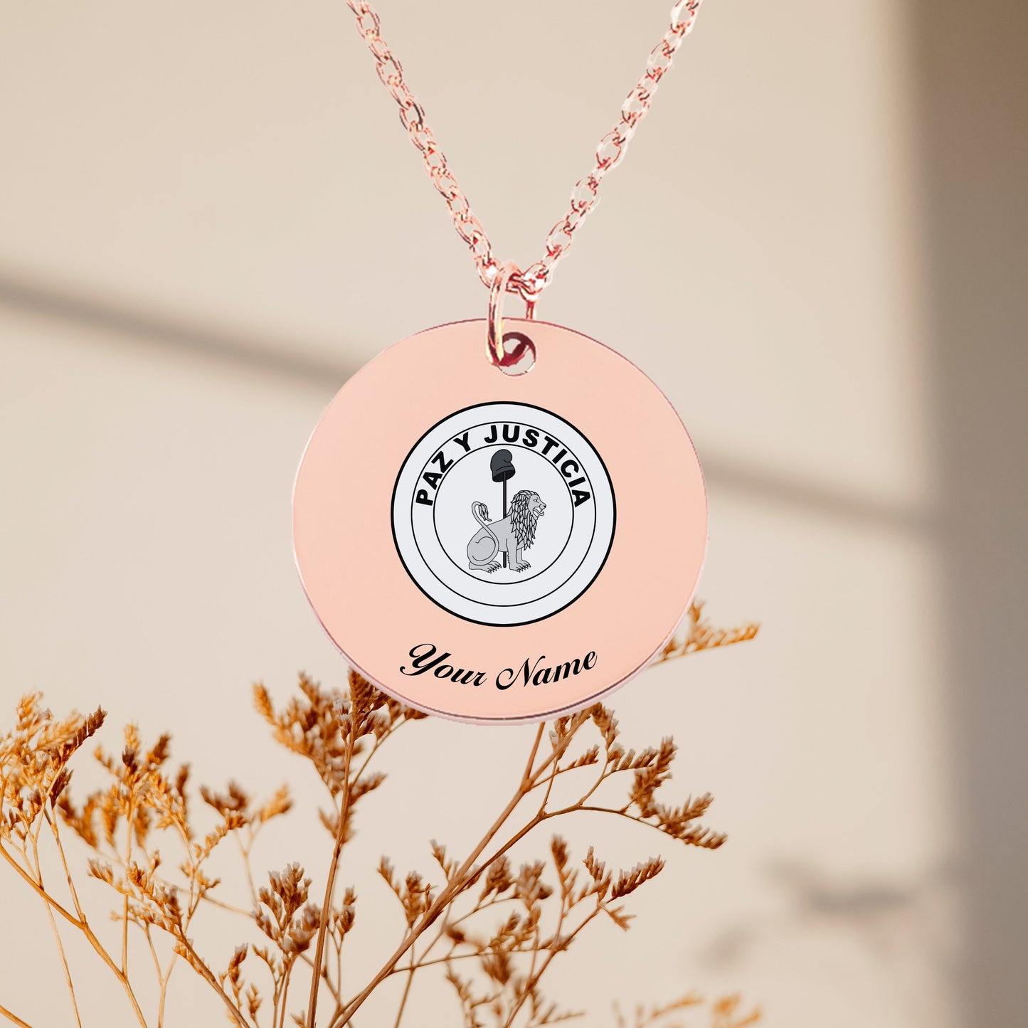 Paraguay National Emblem Necklace - Personalizable Jewelry